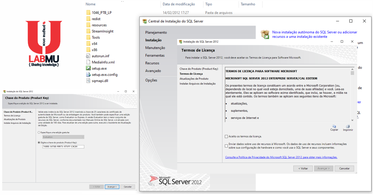Labmu downloads sql server